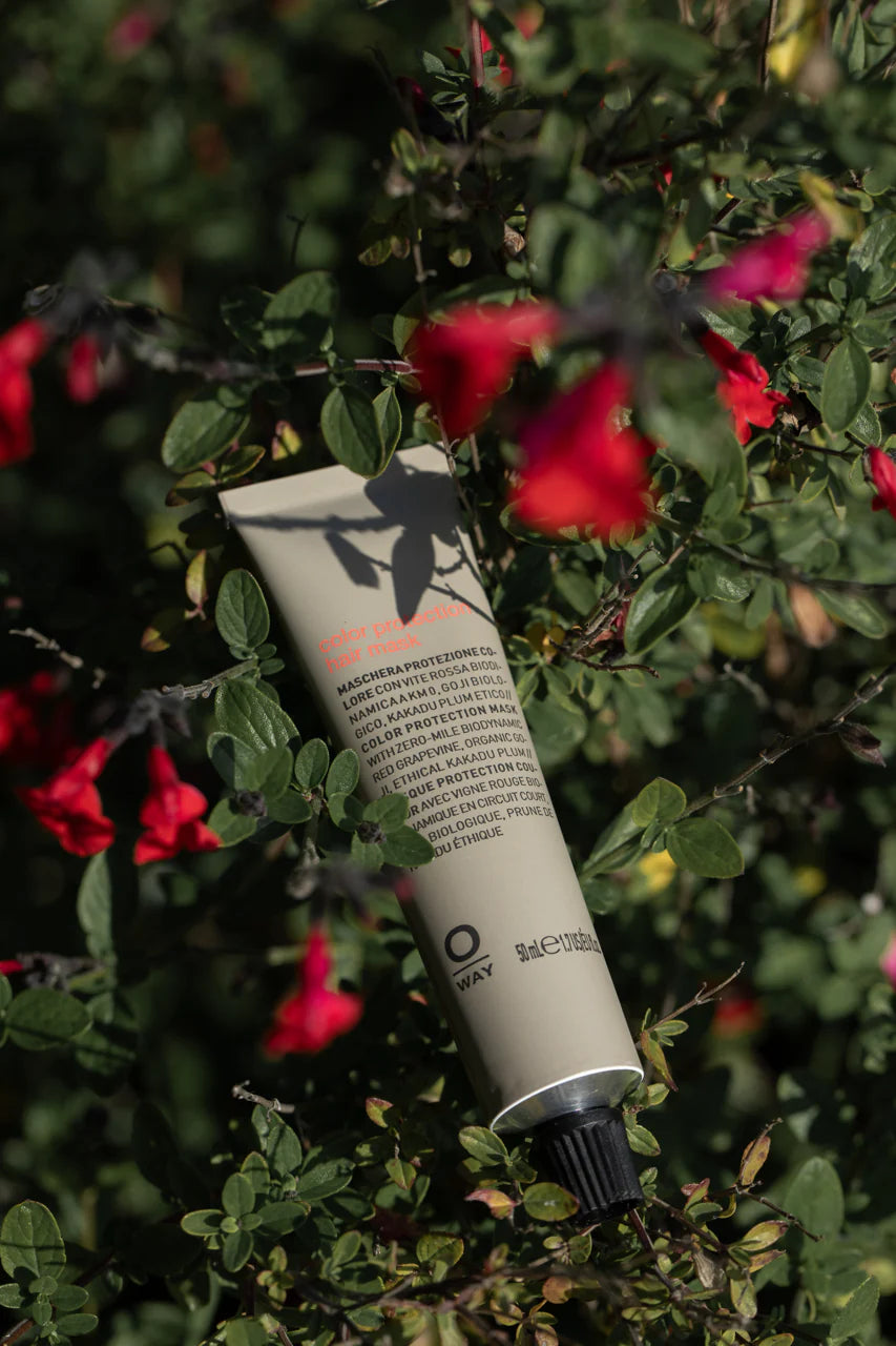 Color Protection Mask 50ML